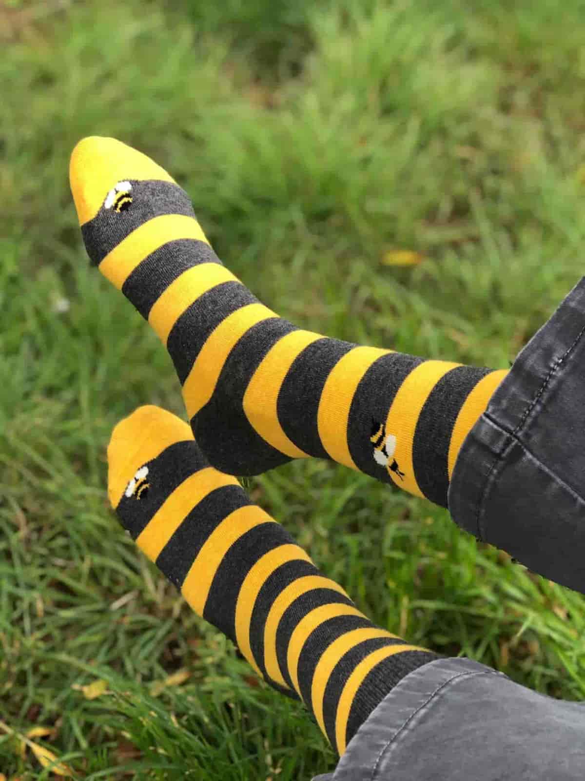 calcetines solidarios