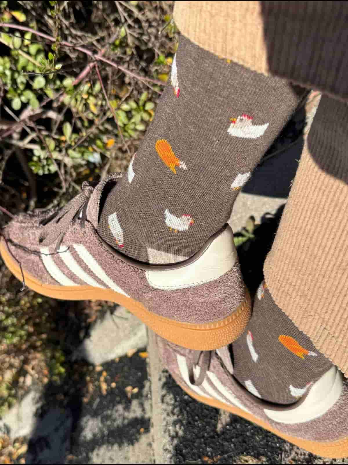 Gallinas puestos calcetines solidarios