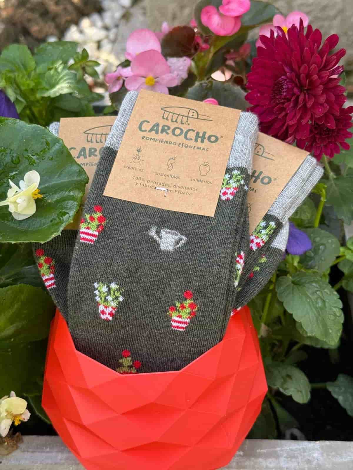 calcetines solidarios